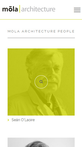 mola website - mobile